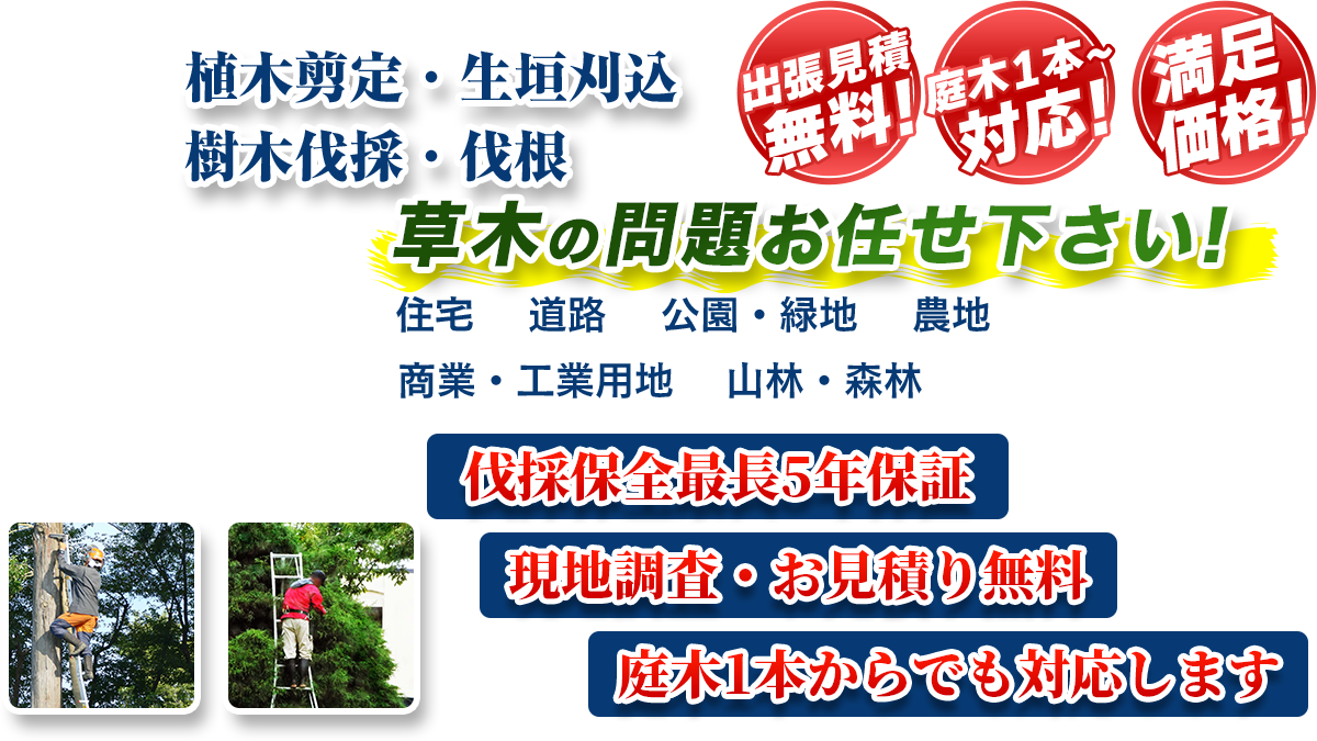 宇都宮エリア即対応!! 出張無料! 庭木1本~対応! 満足価格! 植木剪定・生垣刈込 樹木伐採・伐根 草木の問題お任せ下さい! 住宅 道路 公園・緑地 農地 商業・工業用他 山林・森林 伐採保全最長5年保証 現地調査・お見積り無料 庭木1本からでも対応します