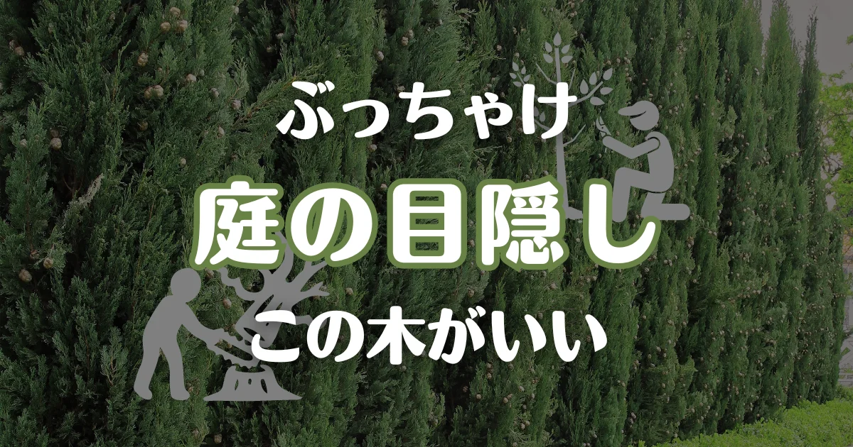 フェンス代わり?!植木でプライバシーも守りましょう! - フォレストガーデン